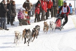Lenk 2012 SM